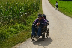 leiterwagenrennen_hemmingen_2008_003