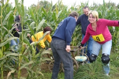 leiterwagenrennen_hemmingen_2008_004