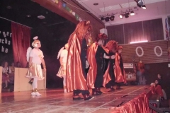 fasnet_sitzung_2011_048