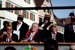 umzug_reutlingen_markgr_ningen_2011_053